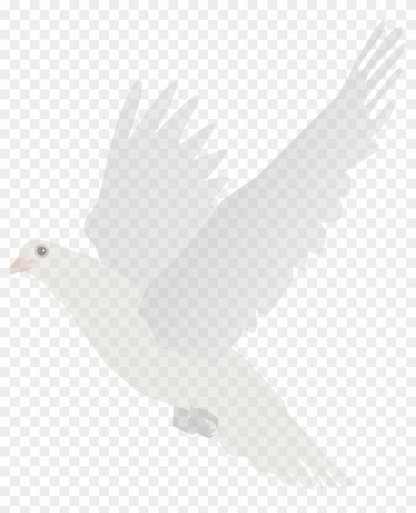 Big Image Png - Stock Dove Clipart #2407640