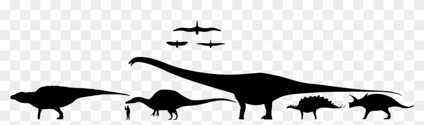 File - Dinosaur Size - Svg - Dinosaur Silhouette Scale Clipart #2408541