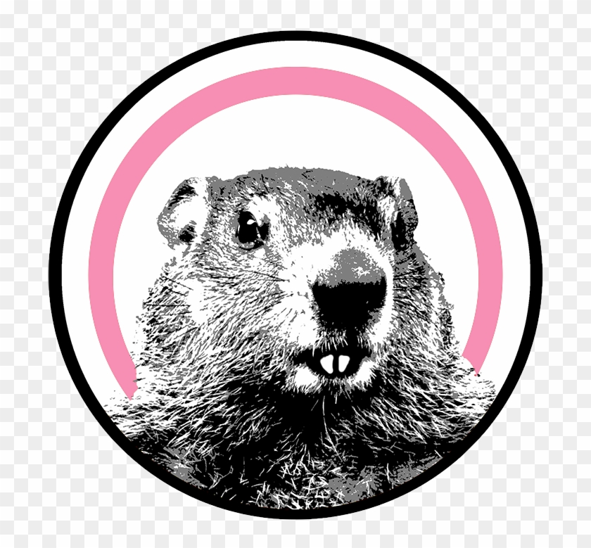 The Groundhog Unveils New Platform For Women - Punxsutawney Phil Clipart