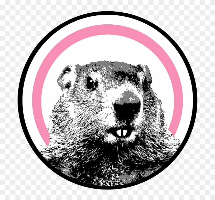 The Groundhog Unveils New Platform For Women - Punxsutawney Phil Clipart #2408913