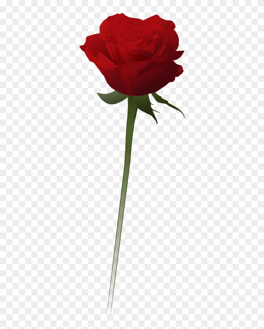 Red Rose Clipart Vector - Rose Vector Png Transparent Png #2410005