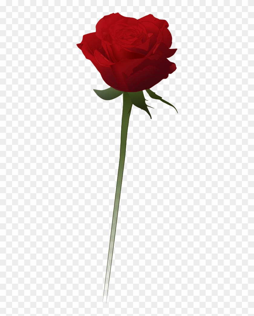 Red Rose Clipart Vector - Rose Vector Png Transparent Png