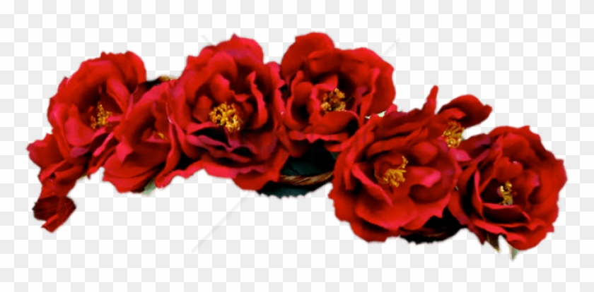 black and red flower crown