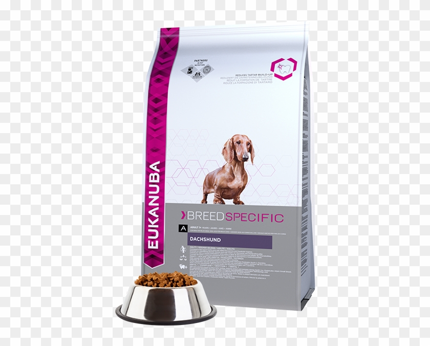 Eukanuba Adult Dry Dog Food For Dachshund Chicken - Tacsko Tap Clipart #2412049