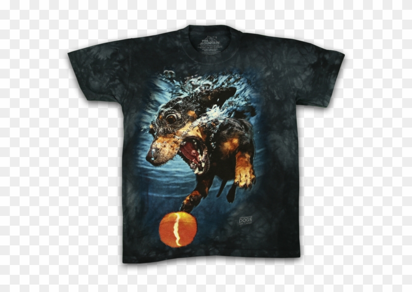 Punxsutawney Phil Clipart