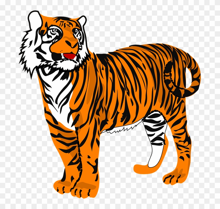 Tiger Cat Animal - Tiger Clipart - Png Download #2412541