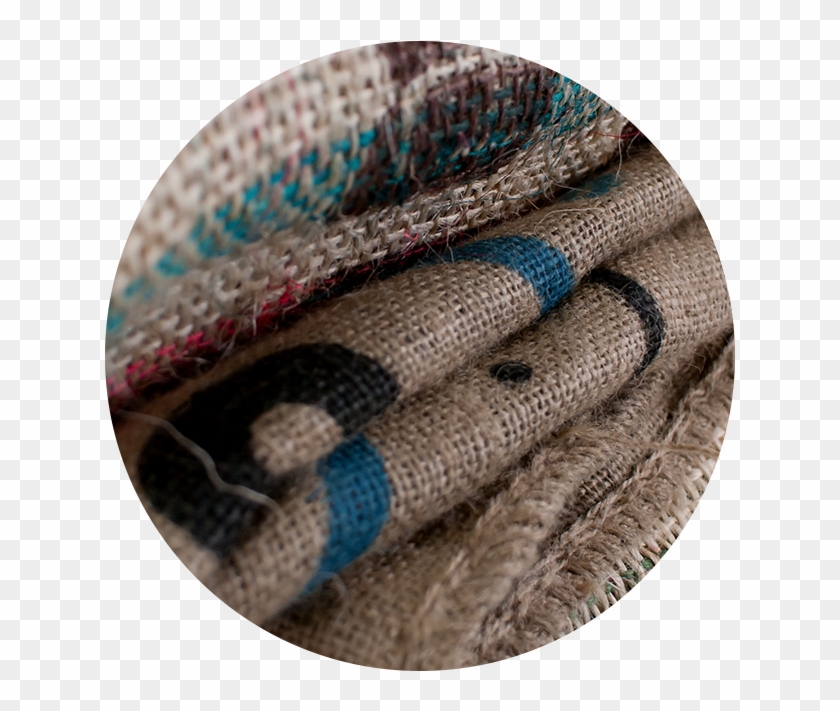 Zoom - Elapidae Clipart #2413275