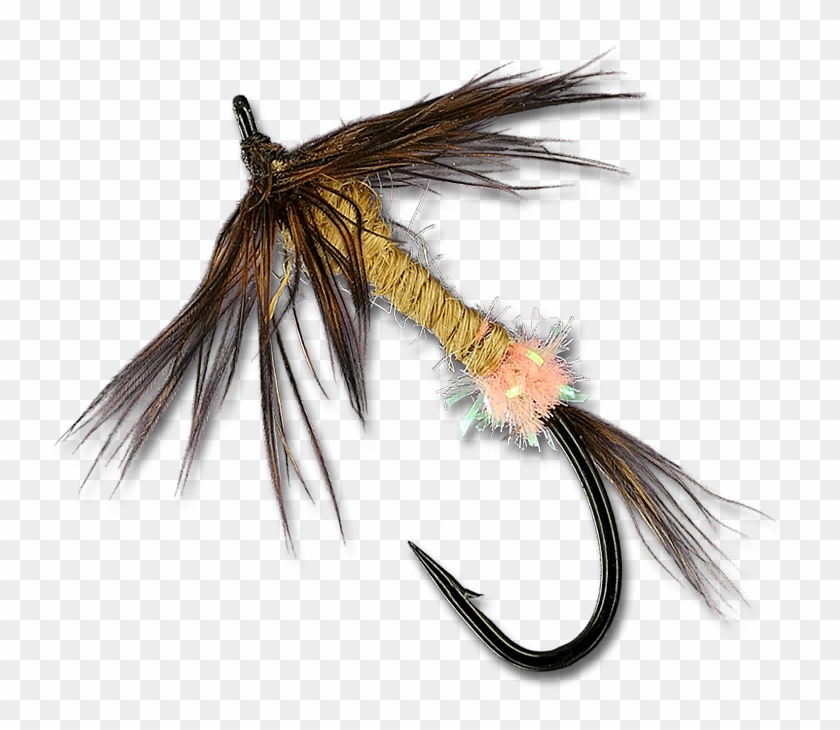 Fish Hook Clipart #2413601