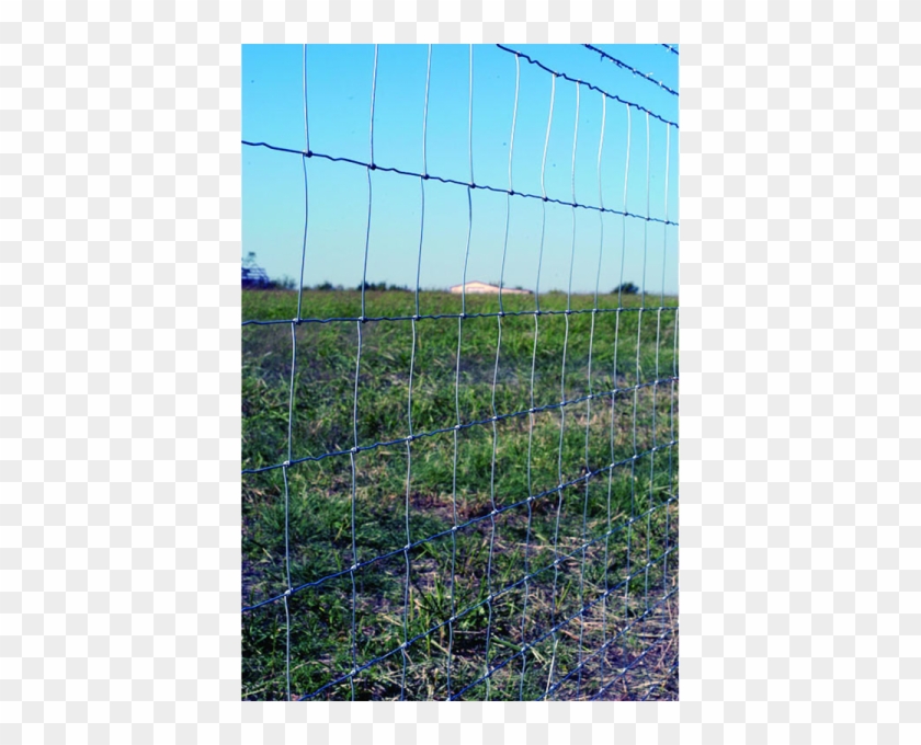Field Fencing, Aka Hog Wire, Is A Mesh Of Steel Wires - 12.5 Gauge Field Fence Clipart