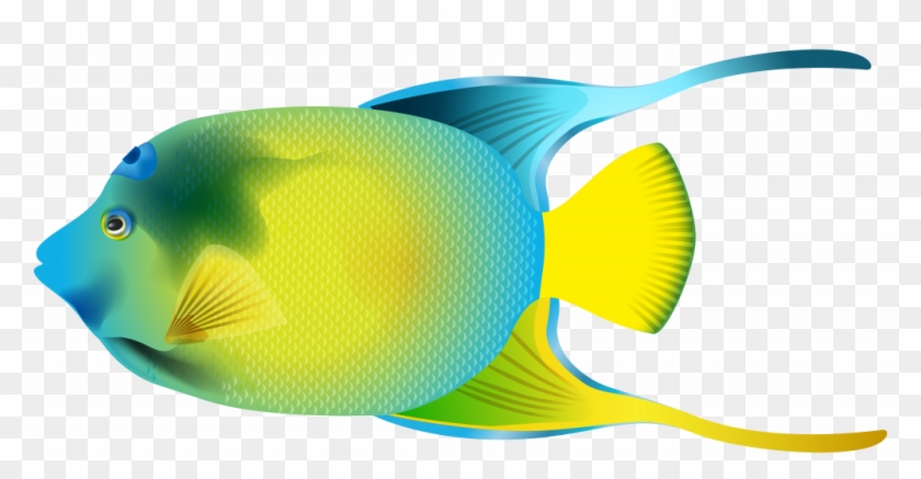 Gallery Image Of Confidential Fish Clip Art For Kids - Angel Fish Png Transparent Png #2415839