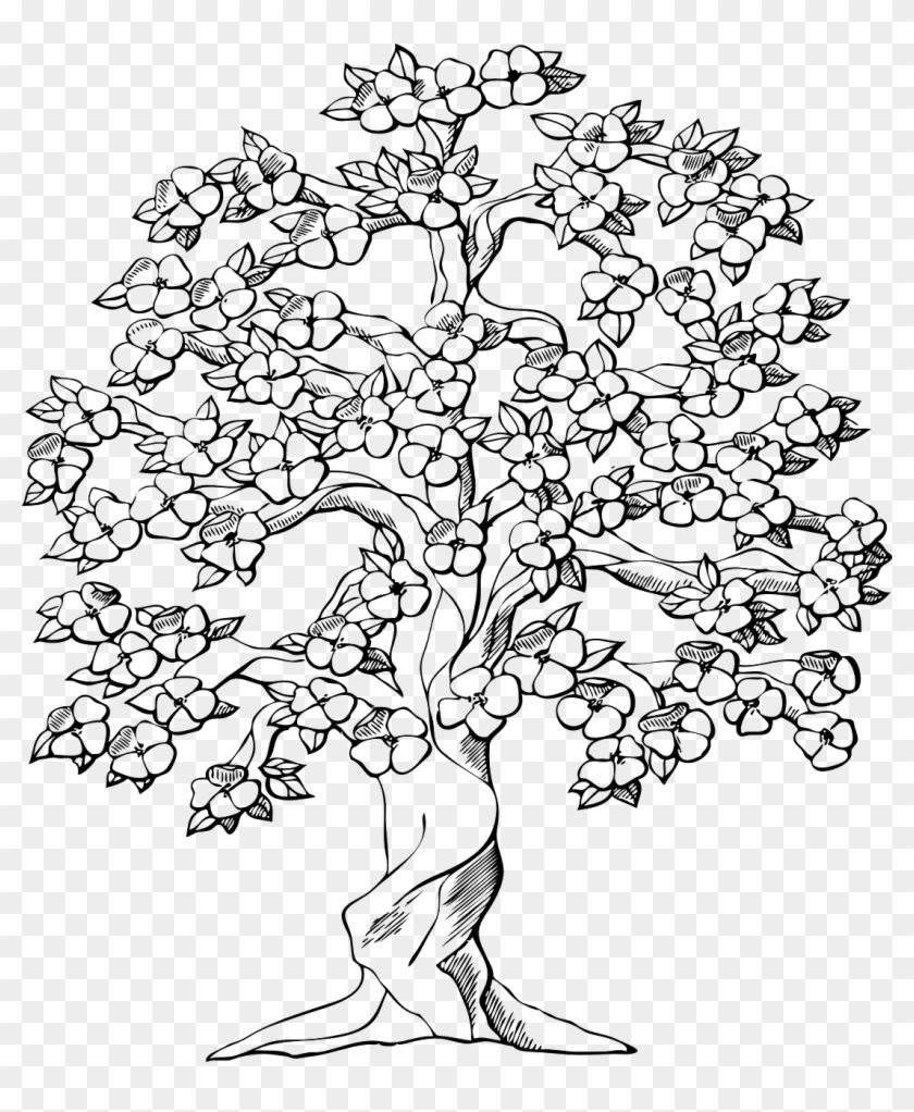 Tree Big Old Wood Plant Png Image - Drawings Of Trees With Flowers Clipart #2416105