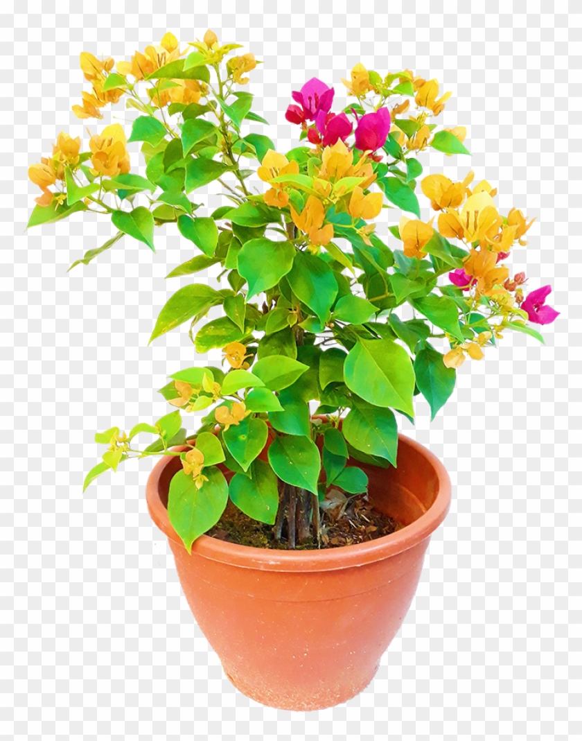 Flowerpot Clipart