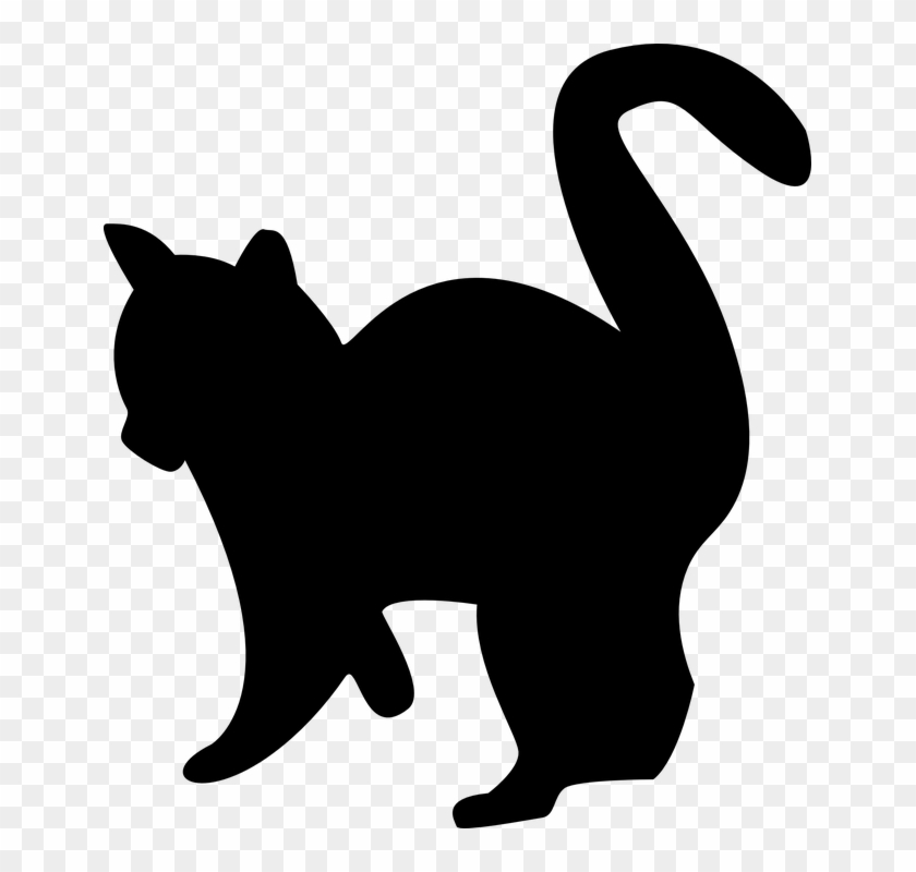 Kitten Silhouette Cat Free Graphic On Pixabay - Gatos En Blanco Y Negro Png Clipart #2417219