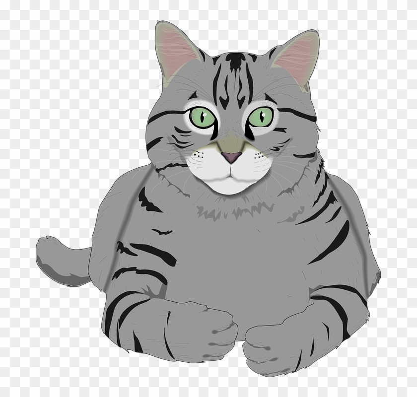 Cat Kitty Gray - Grey Tabby Cat Cartoon Clipart