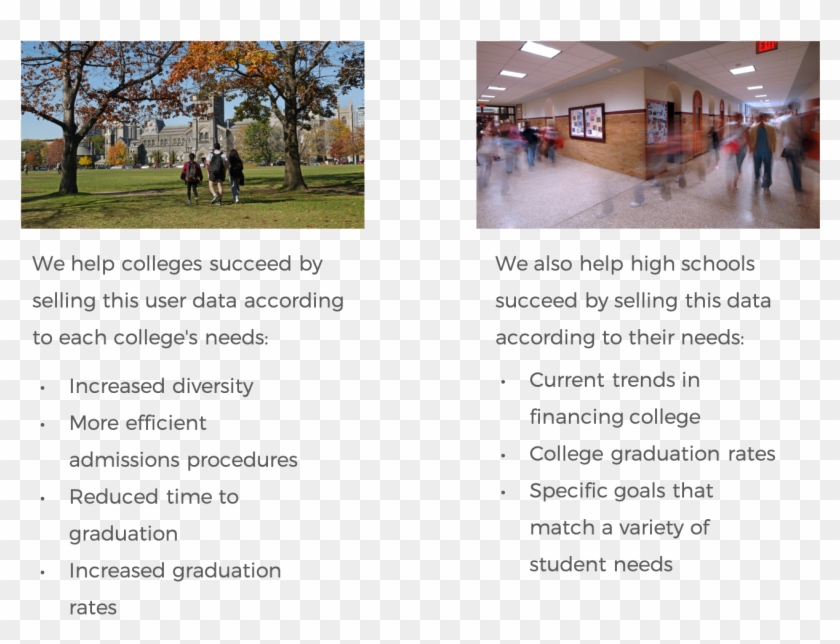 Good For Colleges, Great For Students - Tree Clipart #2417715