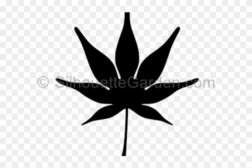 Japanese Maple Cliparts - Copyright - Png Download #2417883