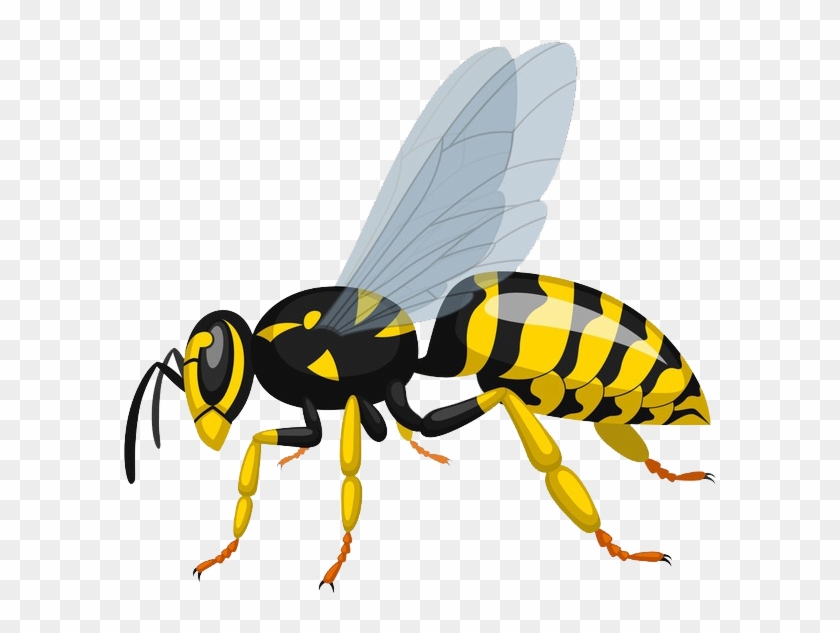 Illustration Clipart #2418486