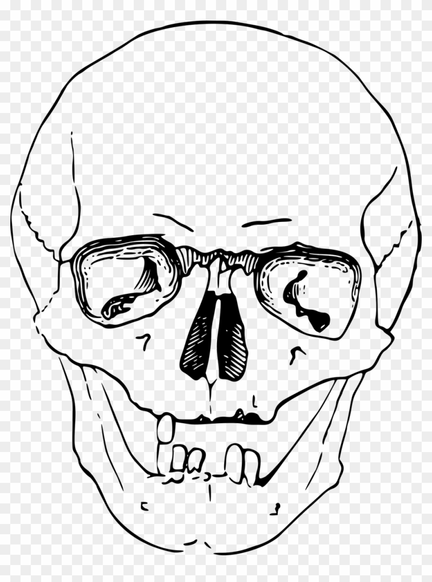 Bone Dead Head Skeleton Skull Png Image - Sketsa Gambar Tengkorak Manusia Clipart #2418567