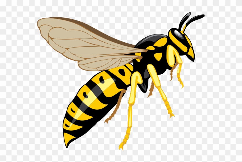 Wasp Png - Wasp Clipart #2418766