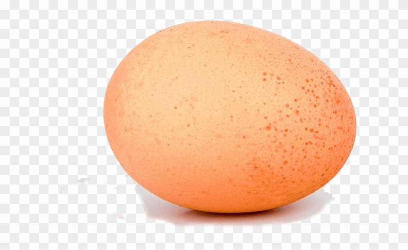 Egg, Chicken Egg - Oval Clipart