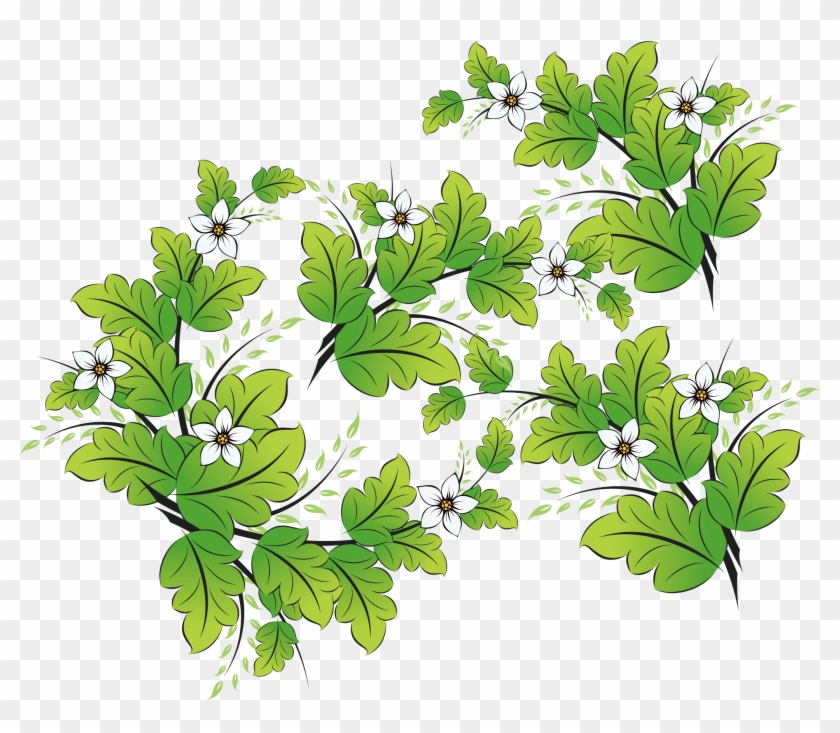 Watercolor Vector Herb Clipart #2419434