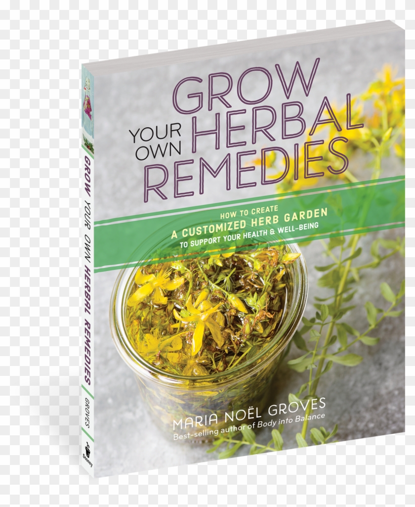 Grow Your Own Herbal Remedies - Herbal Clipart