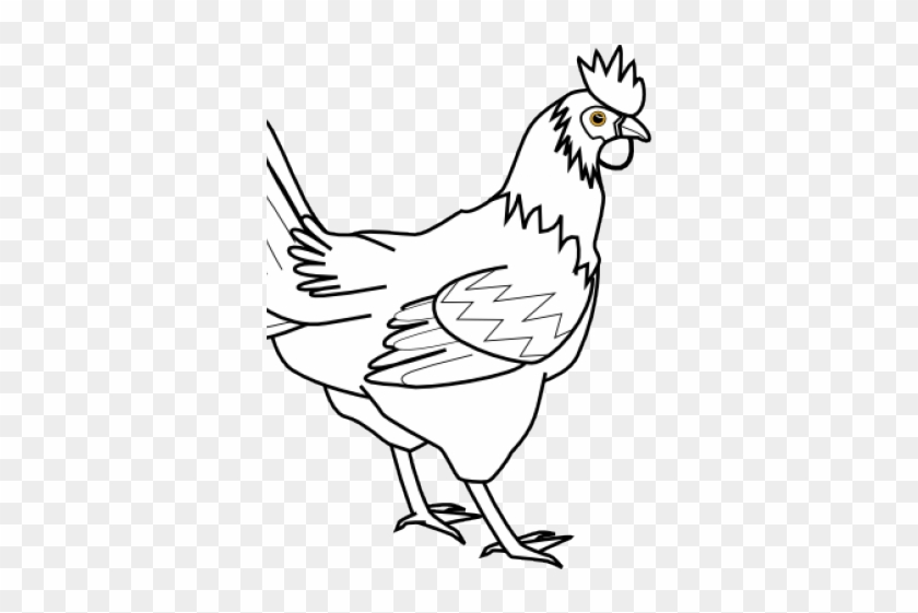 Chicken Clipart Body - Transparent Chicken Clipart - Png Download #2419895