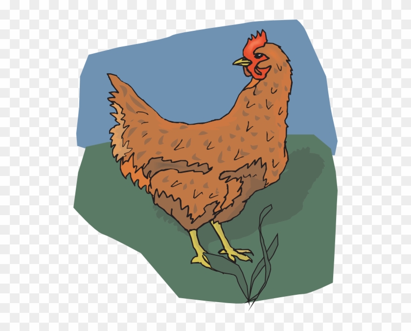 Brown Chicken Looking Back Svg Clip Arts 540 X 597 - Rooster - Png Download #2419966