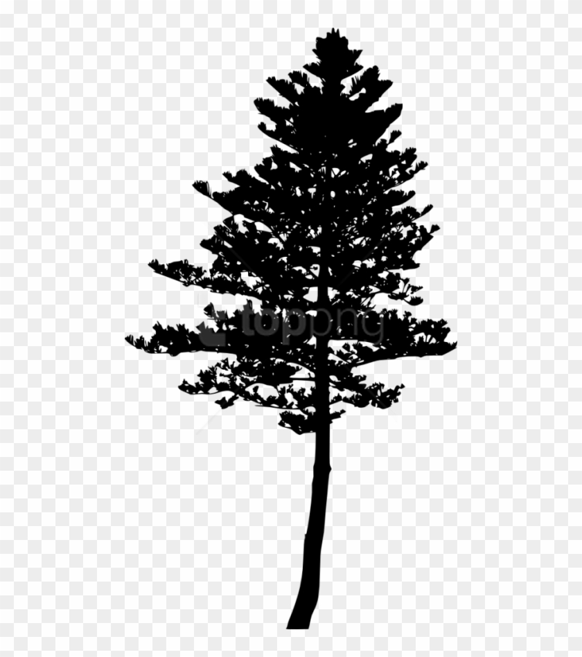 Tree Png Silhouette - Fir Tree Silhouette Png Clipart #2421547