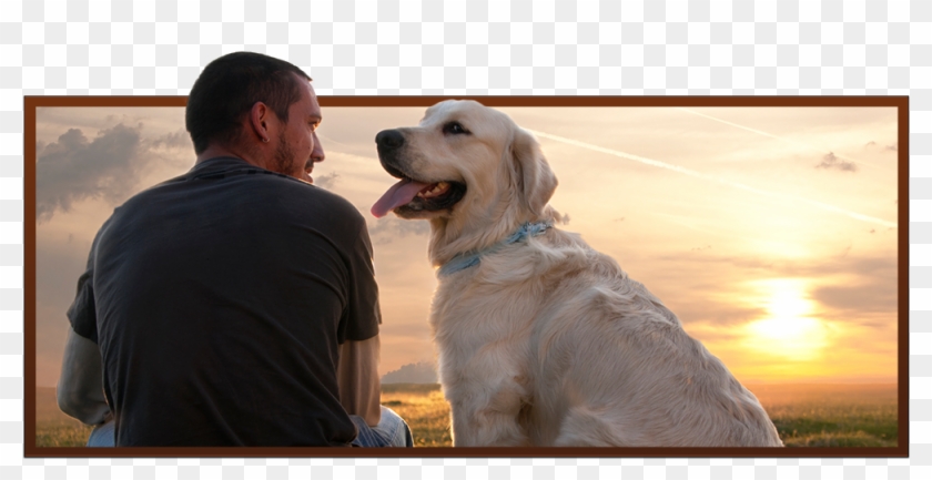 Dogs Called Man's Best Friend Clipart #2422070
