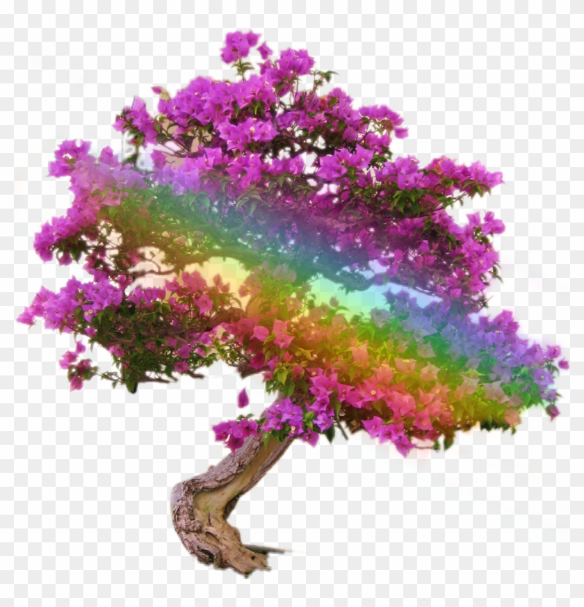 #bonsai #bonsaitree #tree #challenge - Fazer Muda De Primavera Clipart #2422380