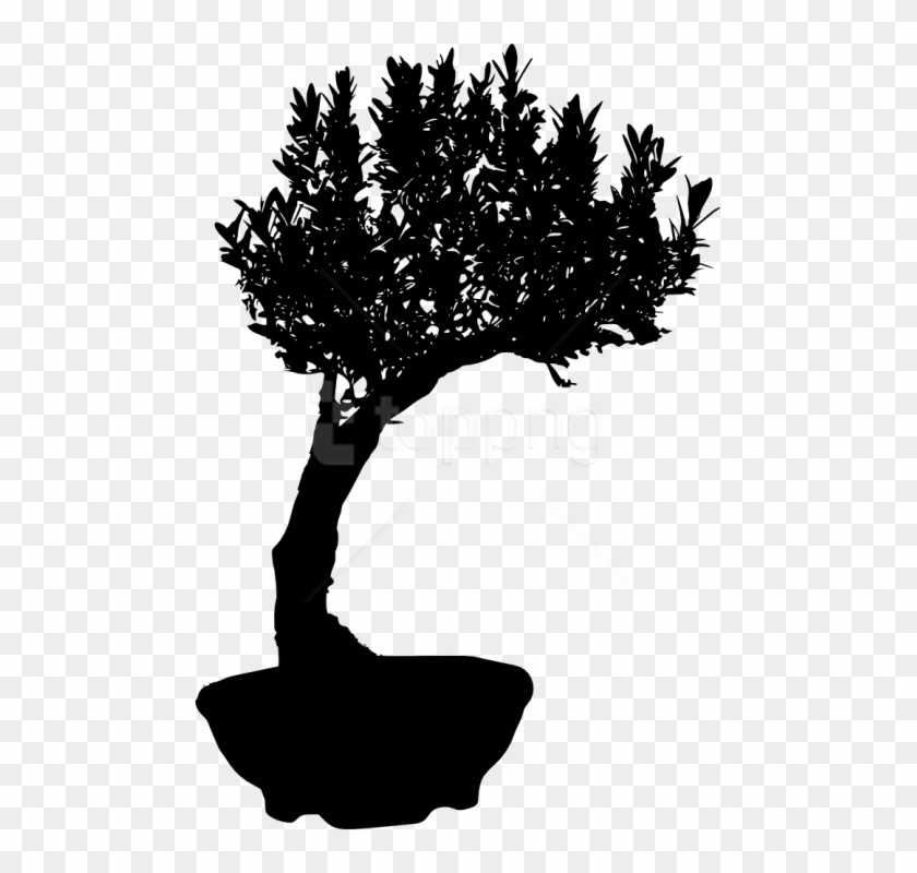 Free Png Bonsai Silhouette Png - Christmas Tree Clipart