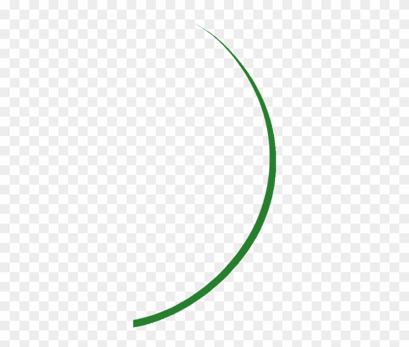 Circle Clipart #2422772