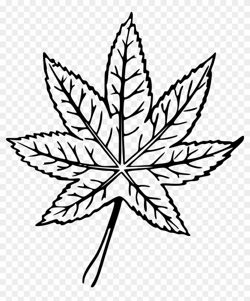 Leaves Png For Free Download On - Line Art Leaf Png Clipart
