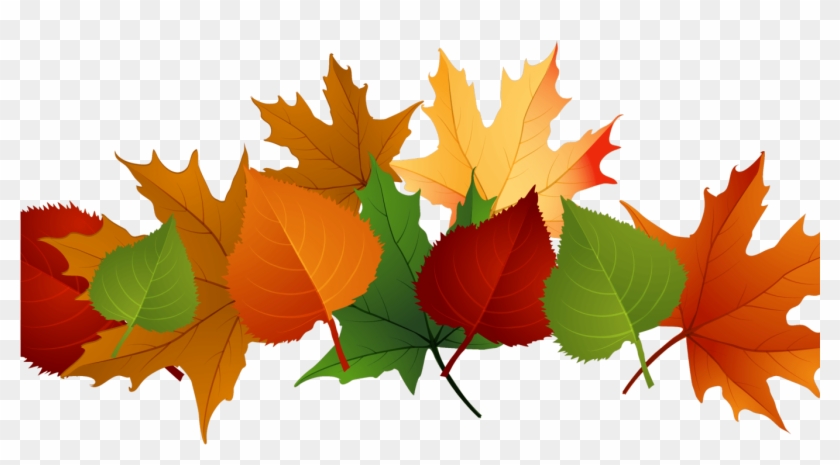 Fall Leaves Transparent Background Clipart #2423111