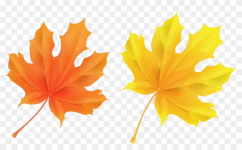 Fall Leaf Clipart No Background - Orange Leaves - Png Download