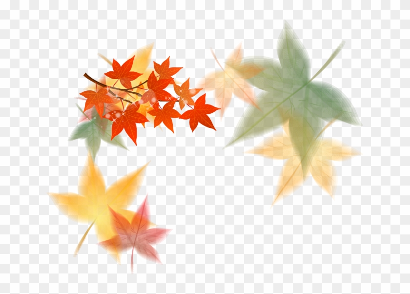 Maple Leaf, Download, Cdr, Leaf, Tree Png Image With - Leaf Background Png Free Download Clipart #2423336