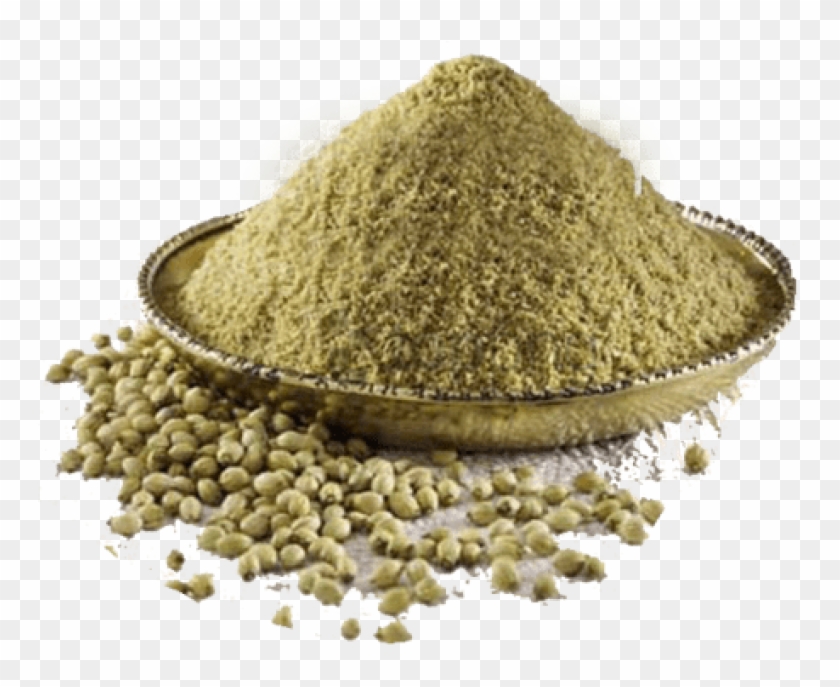 Free Png Coriander Powder Png Image With Transparent - Coriander Seeds Powder Png Clipart@pikpng.com