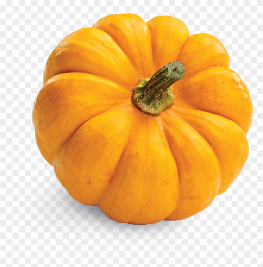 With Real Chicken, And Accents Of Blueberries, Pumpkin, - Pumpkin Clipart #2423798