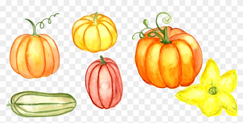 Watercolor Pumpkins Png - Pumpkin Clipart #2423858