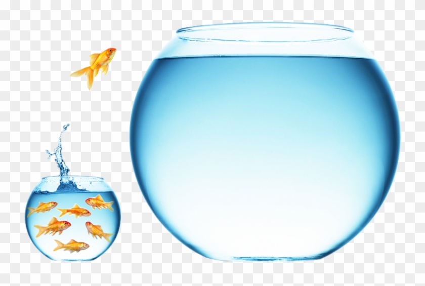 How To Find Your Blue Ocean Strategy® - Business Clipart