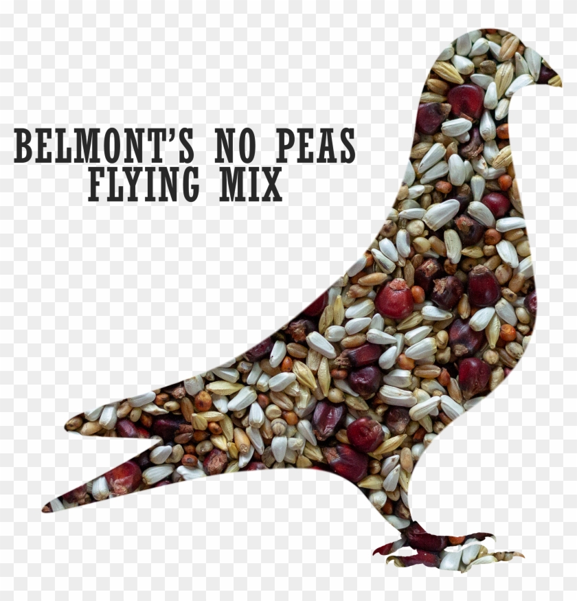 Belmont S No Peas Flying 1 Clipart
