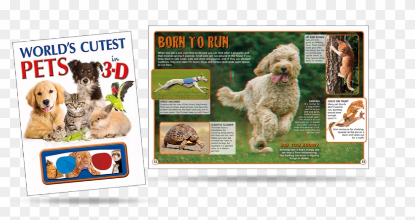 Dog Catches Something Clipart