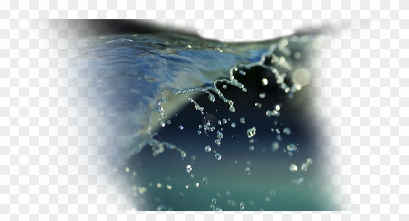 Macro Photography Clipart