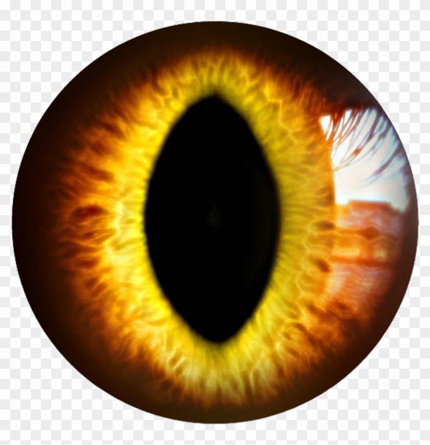 Eye Sticker By Official - Close-up Clipart