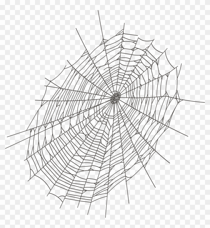 Inspirational Of White Spider Web Letters Format Ⓒ - Spider Webs Transparent Png Clipart