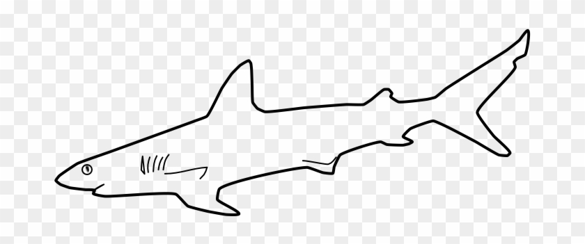 Shark Outline Png - Tiger Shark Clipart #2429765