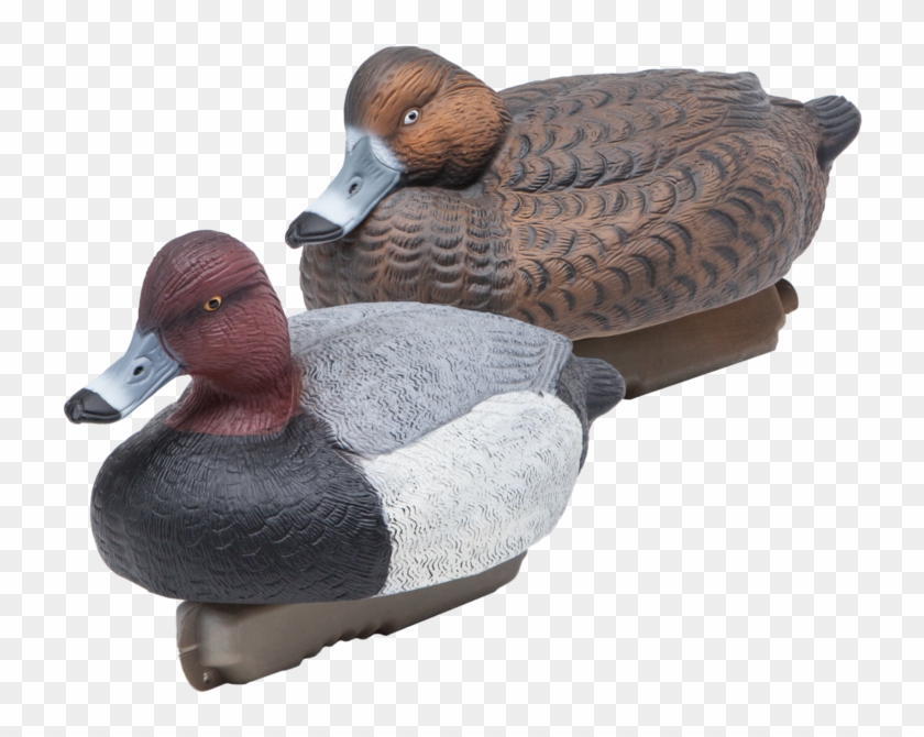Final Approach Hd Floating Redhead Decoys , Png Download - Mallard Clipart #2430109