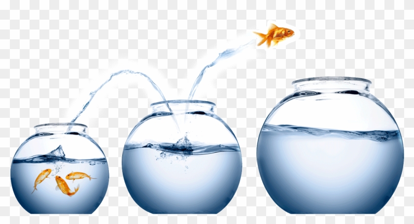 It's Easy To Treat Wealth A Bit Like Being A Koi In - Fish Jumping From One Bowl To Another Clipart #2430182