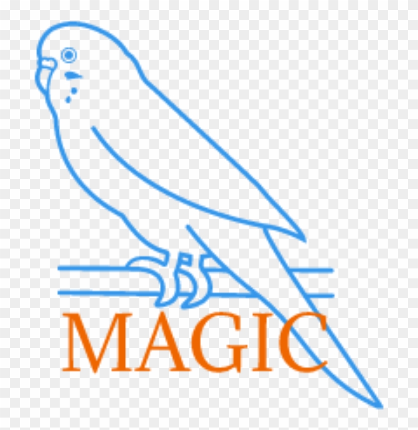 Parakeet Magic Parakeet Magic - Parrot Clipart